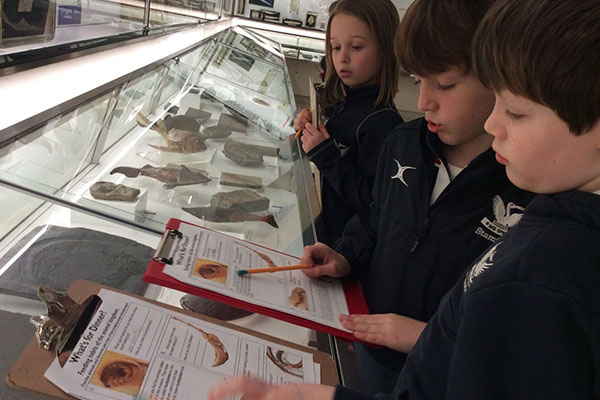 Exploring at the Y4 Zoology Trip 