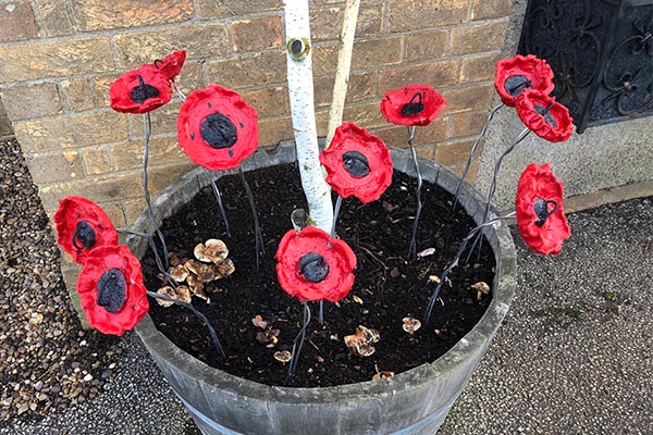 SJS Poppies