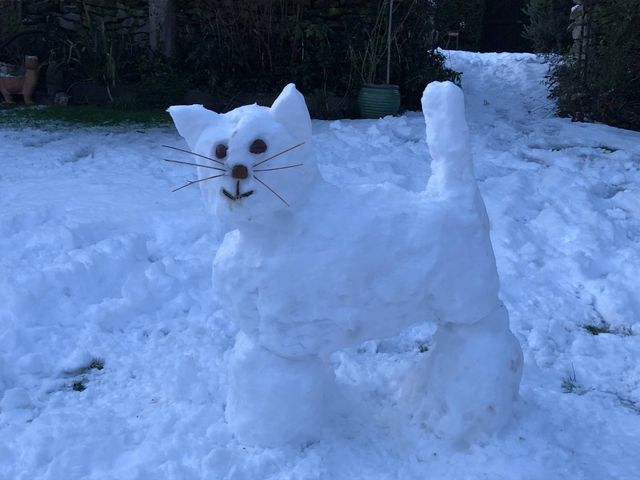 Rory Cullen - snowcat