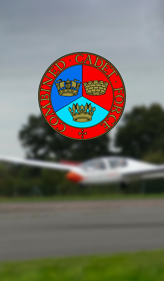 RAF Section