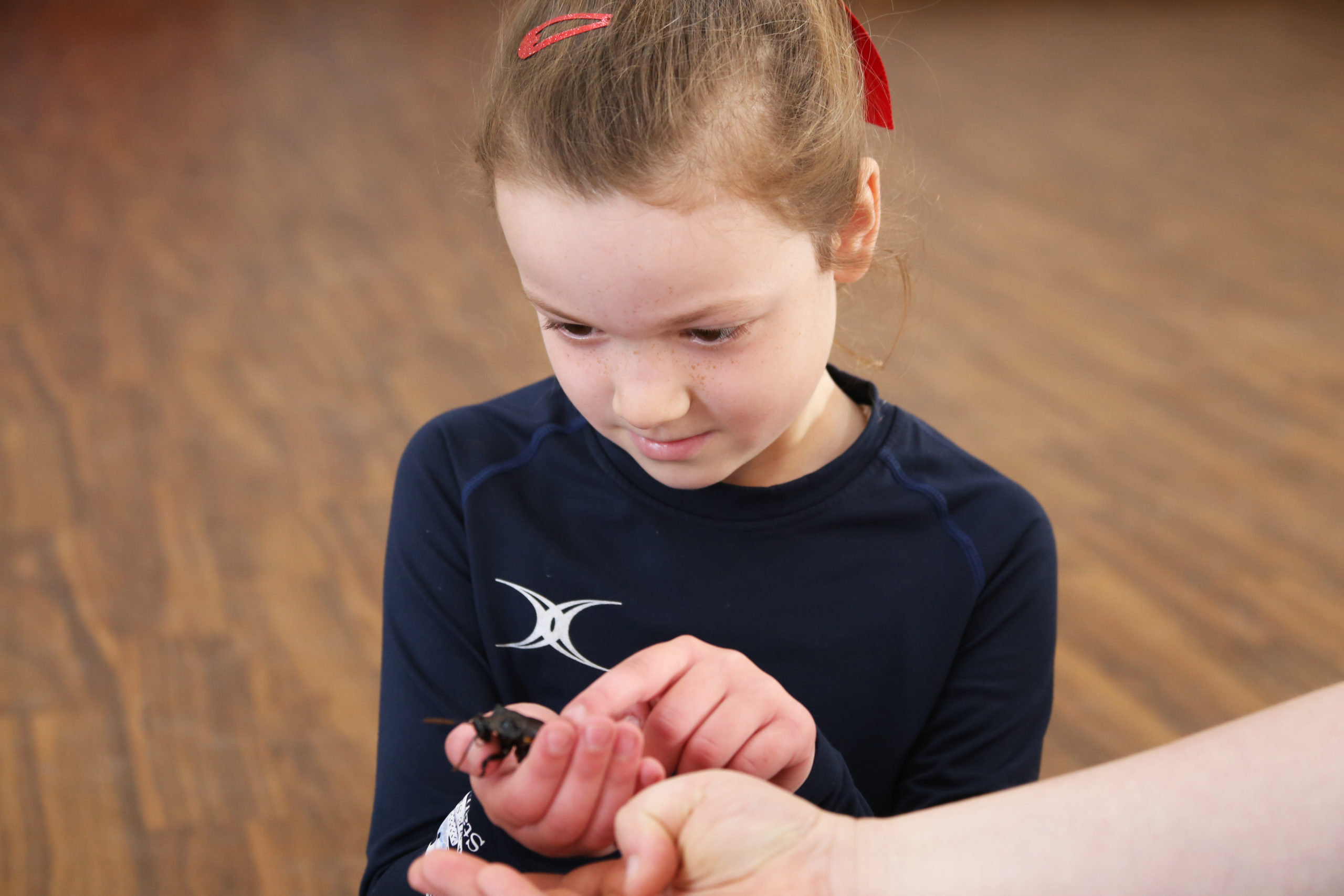 Stamford Junior School - Wild Science Company