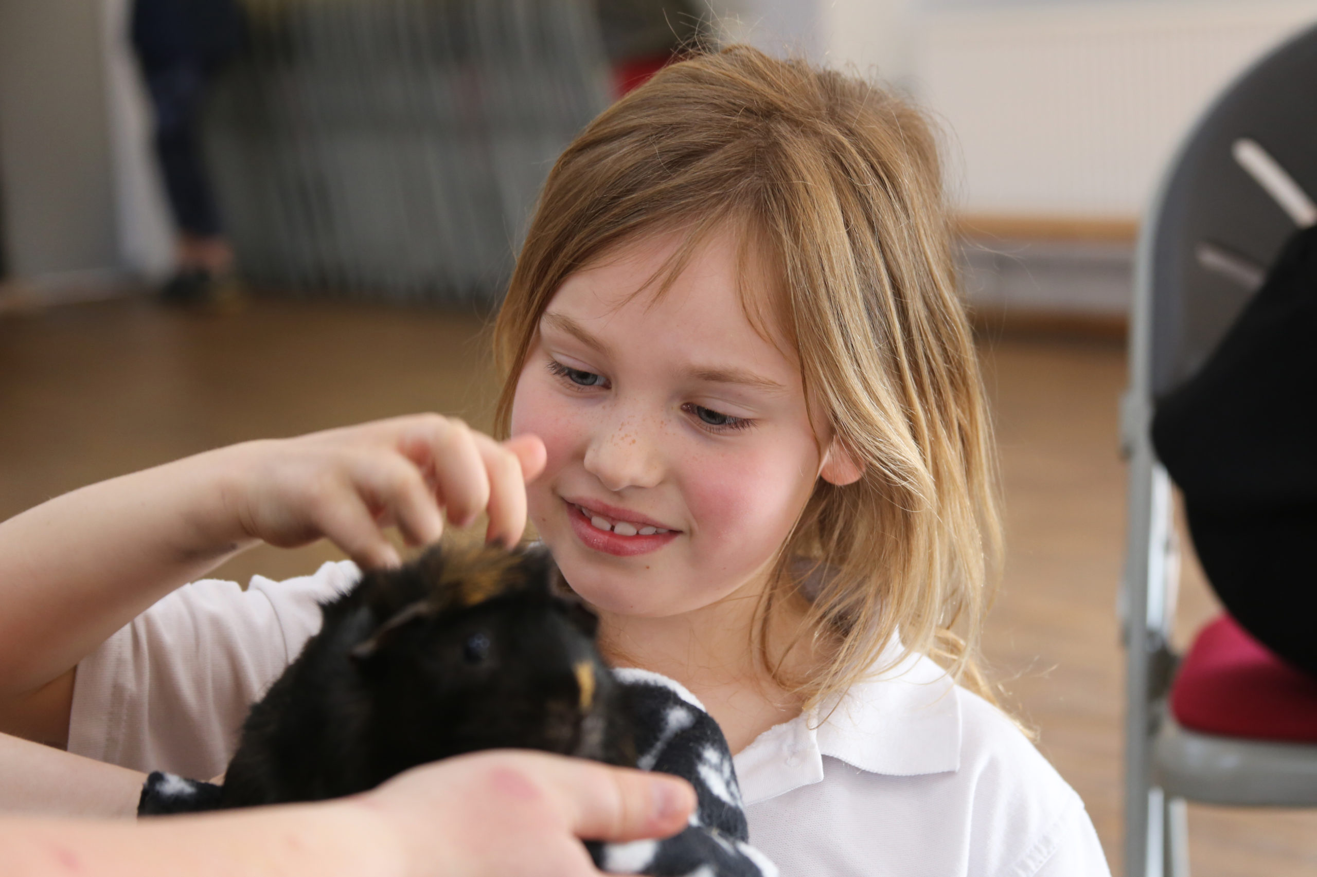 Stamford Junior School - Wild Science Company